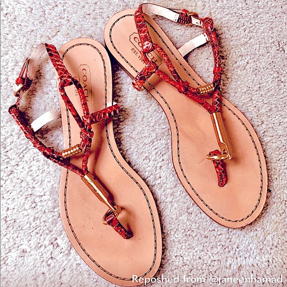 Coach Orange Snakeskin Sandals Size 5 - Picture 1 of 3